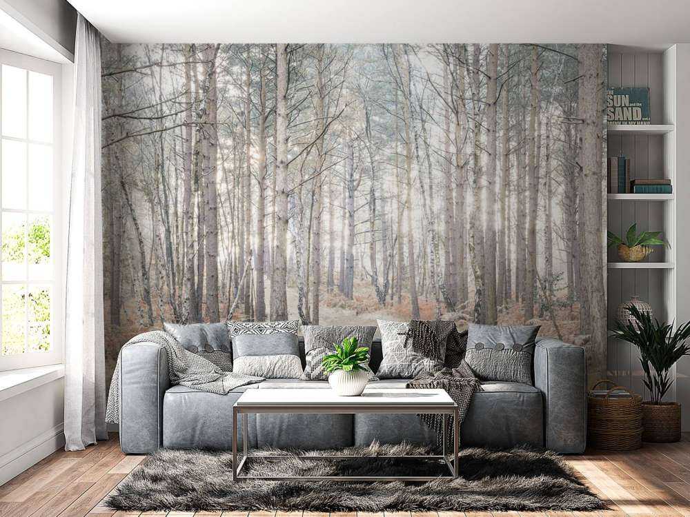 Sandweg durch den Wald