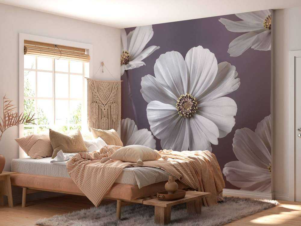 Kosmos Blumen