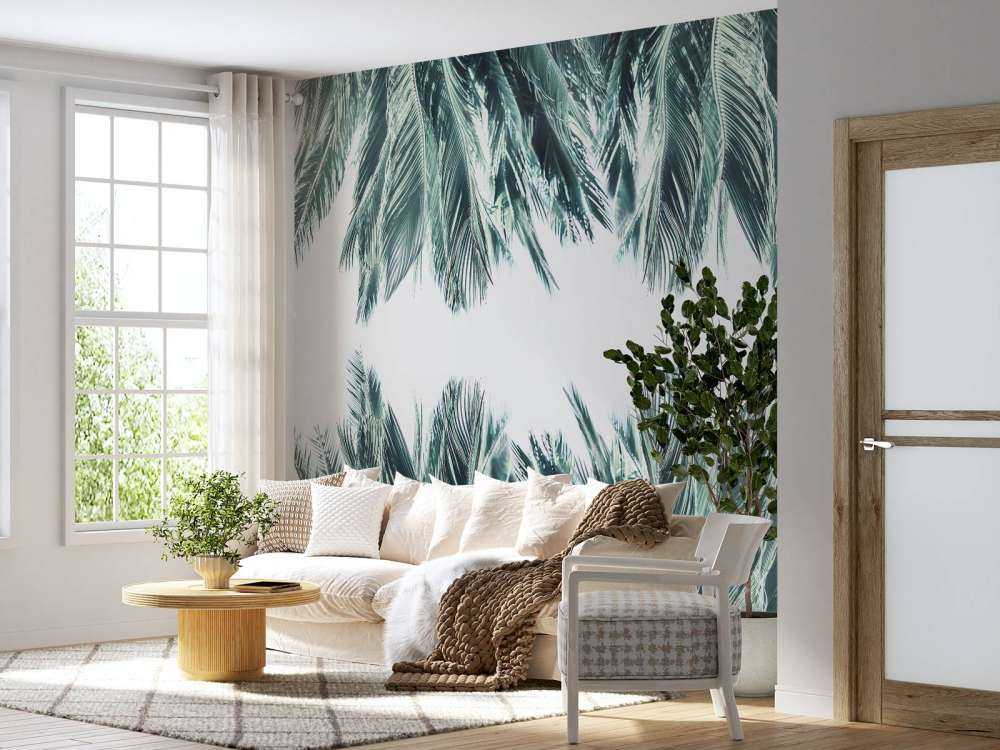 Palmenblätter auf weißem Hintergrund