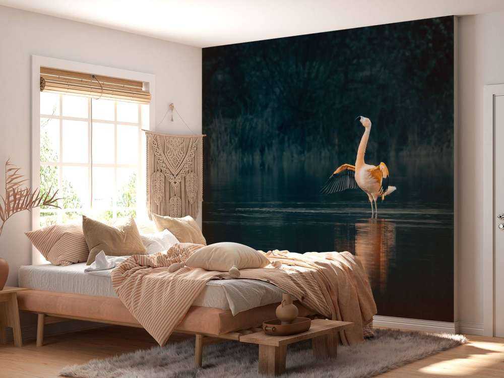 Flamingo in verlassenem See