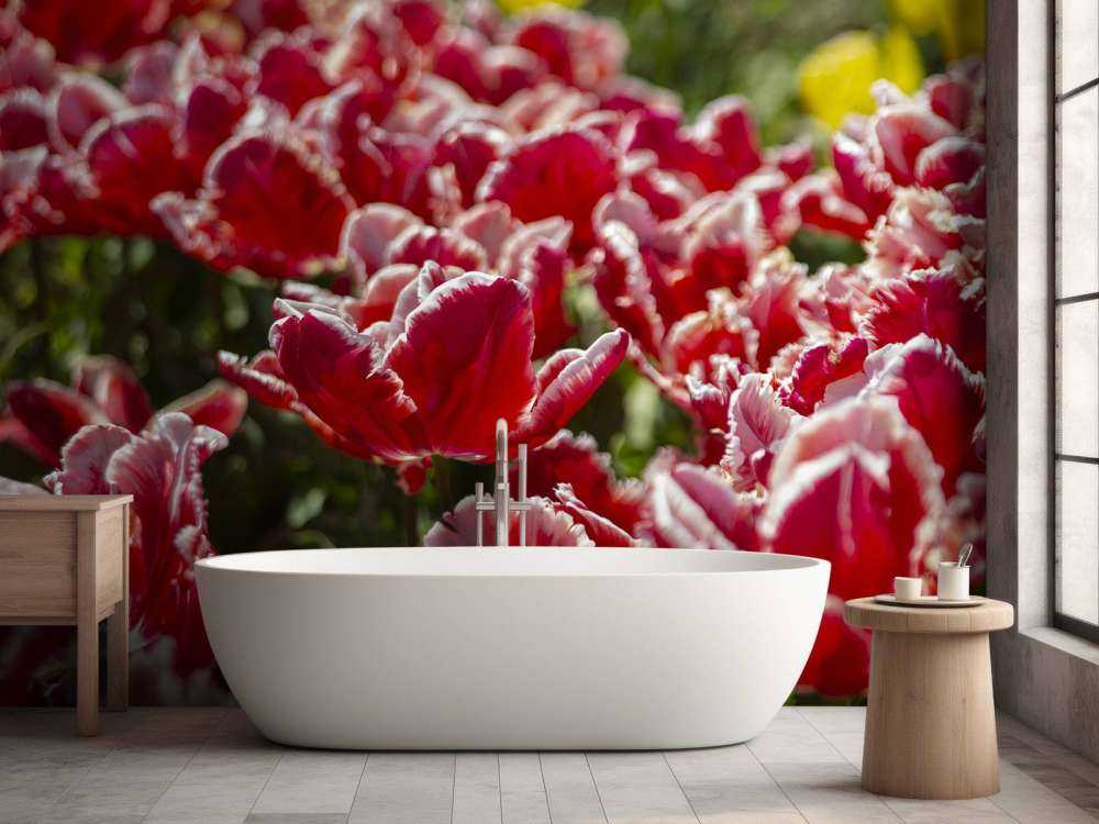 Rote Tulpen