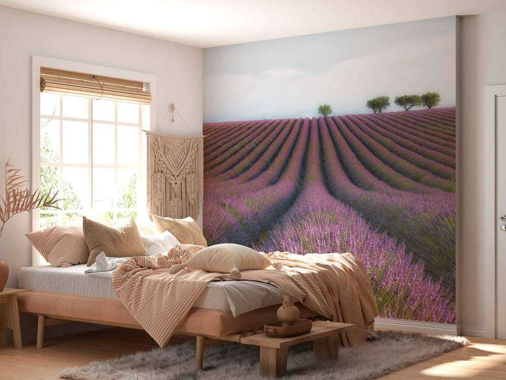 Velours de Lavender