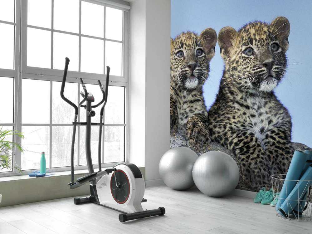 Kleine Leoparden