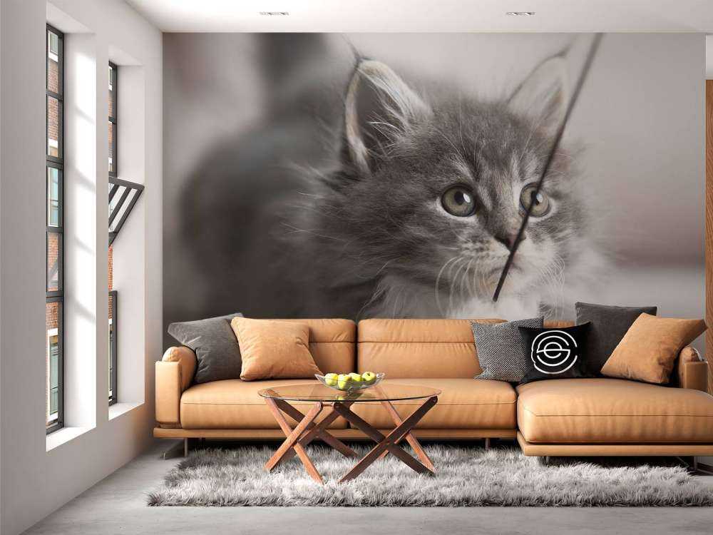 Spielende Katze