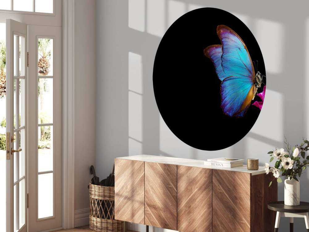 Schmetterling auf Tulpe