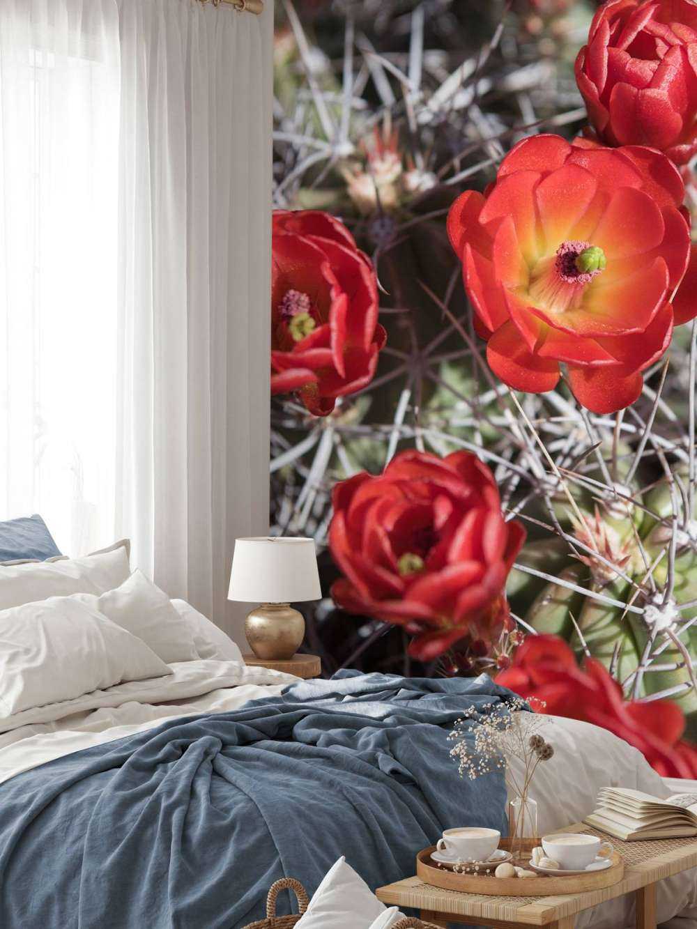 Rote Kaktusblumen