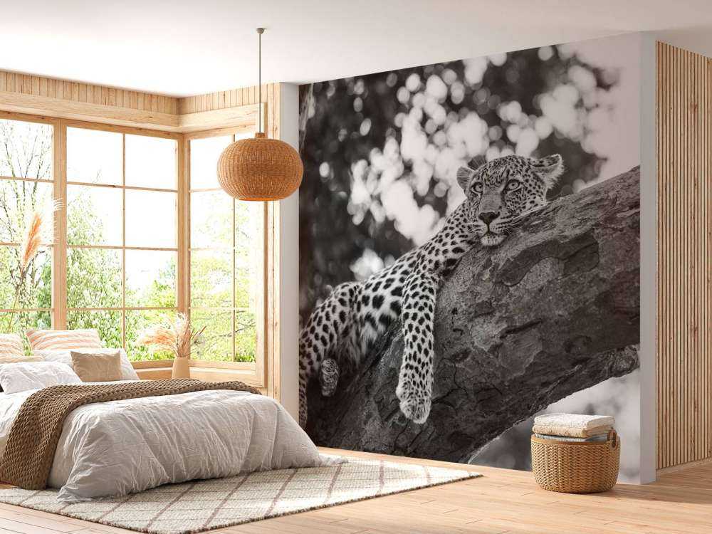 Ruhender Leopard
