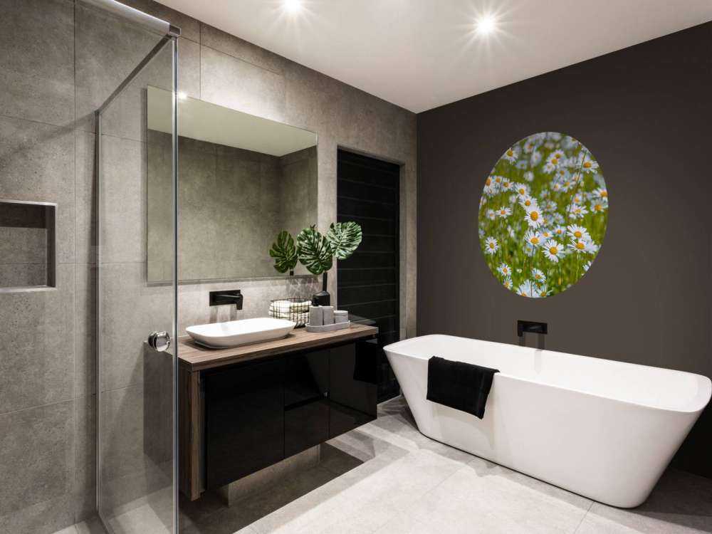 Gänseblümchen auf einem Feld