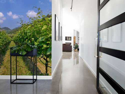 Weinberg in Italien