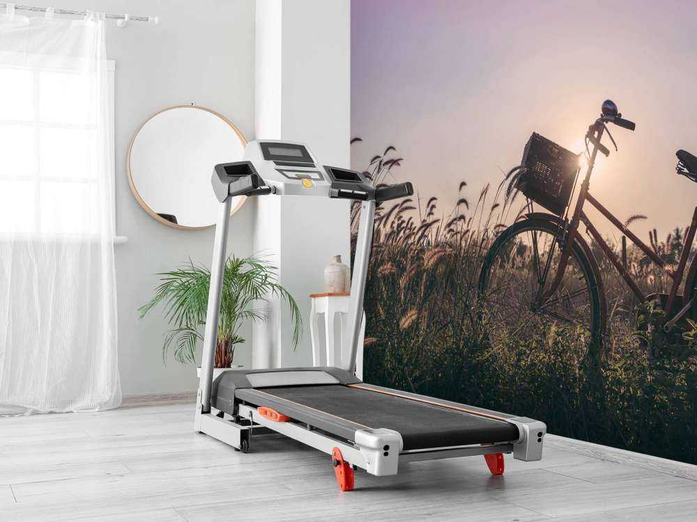 Fahrrad in einem Feld