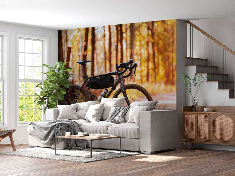 Fahrrad im Herbst
