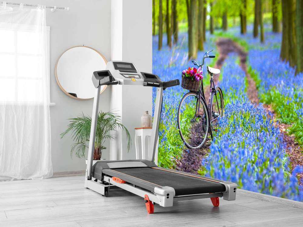 Fahrrad im Wald