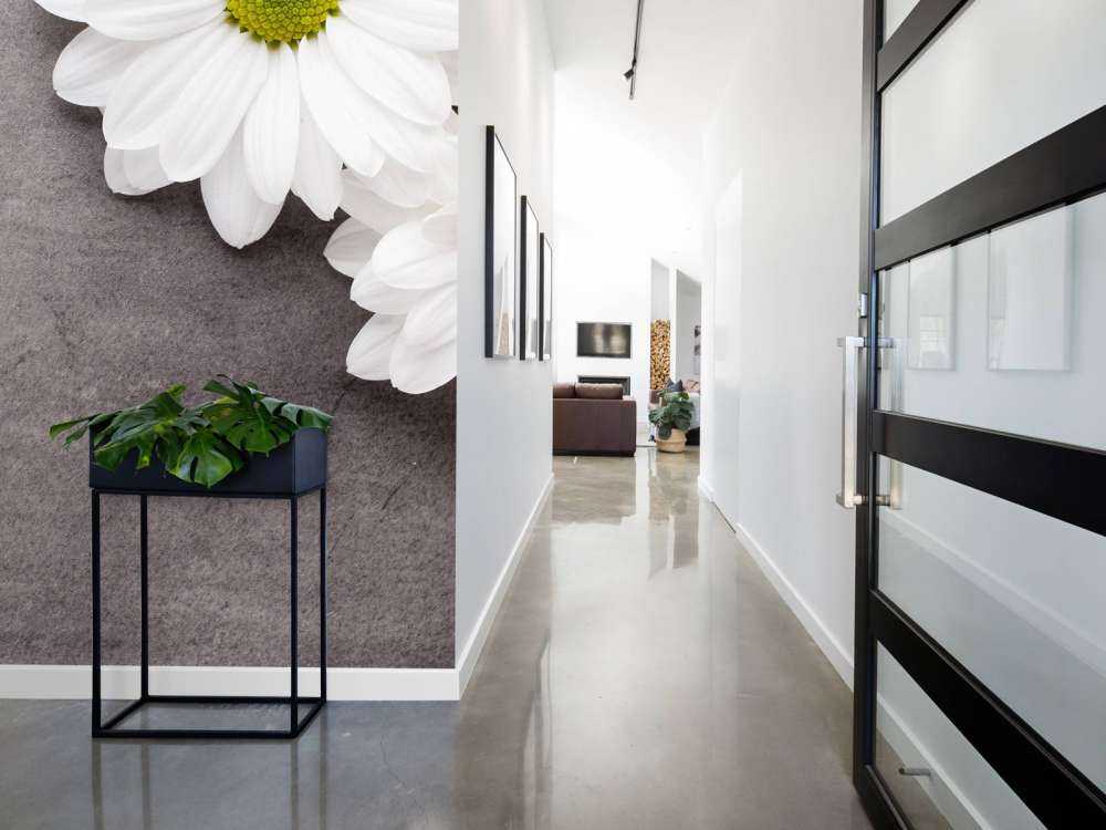 Gänseblümchen und Beton