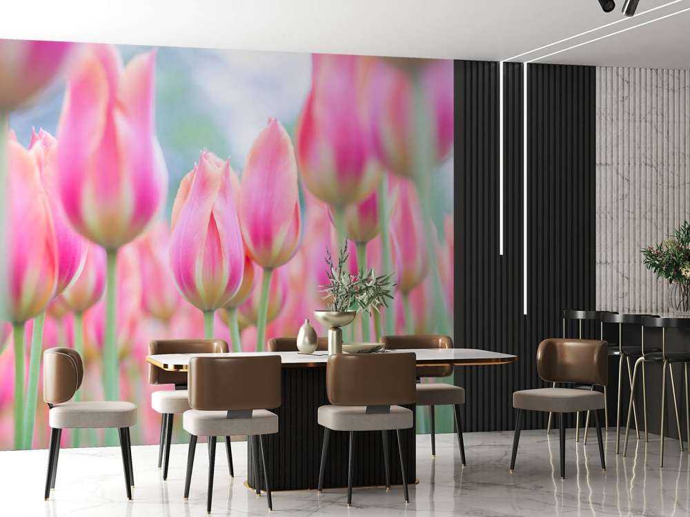 Nahaufnahme rosa Tulpen