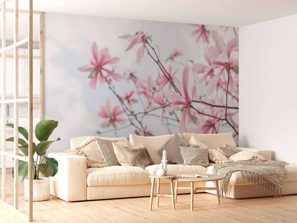 Magnolie