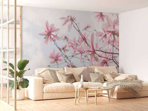 Magnolie