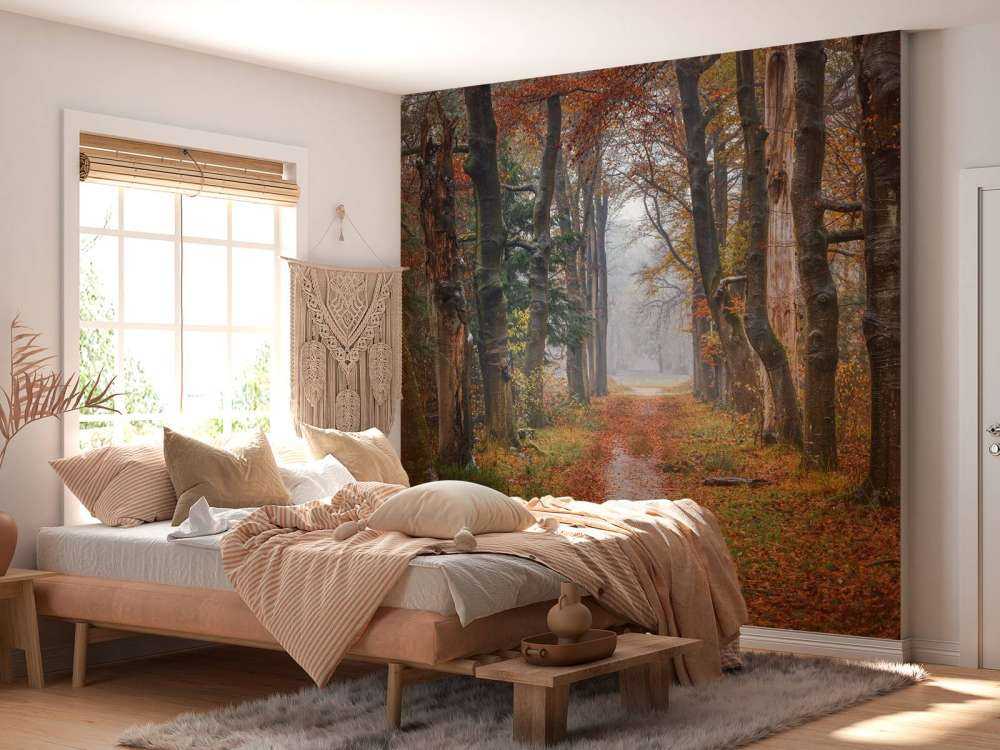 Waldweg mit alten Bäumen