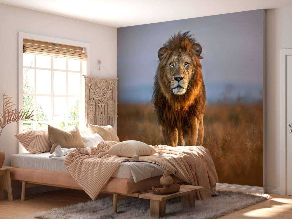 Lion Close Up