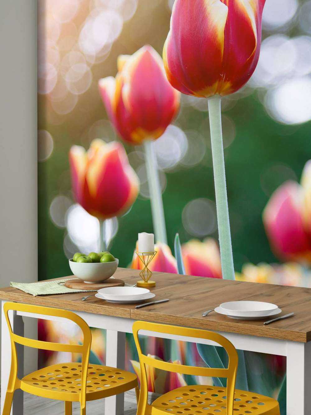 Rot mit gelben Tulpen