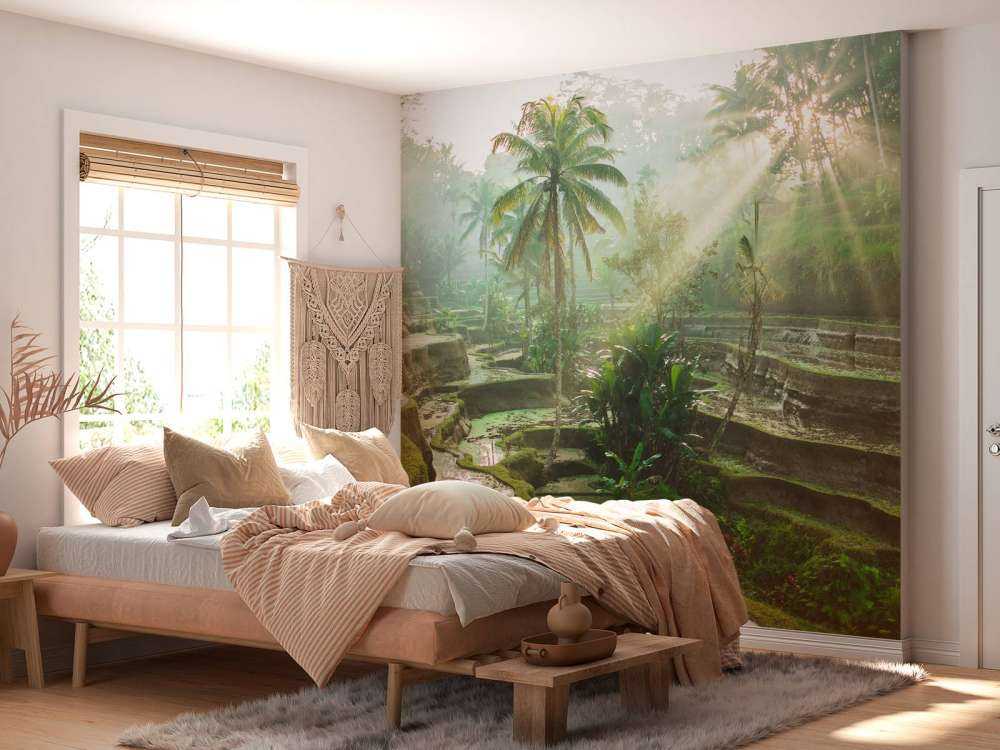 Reisfelder im Dschungel