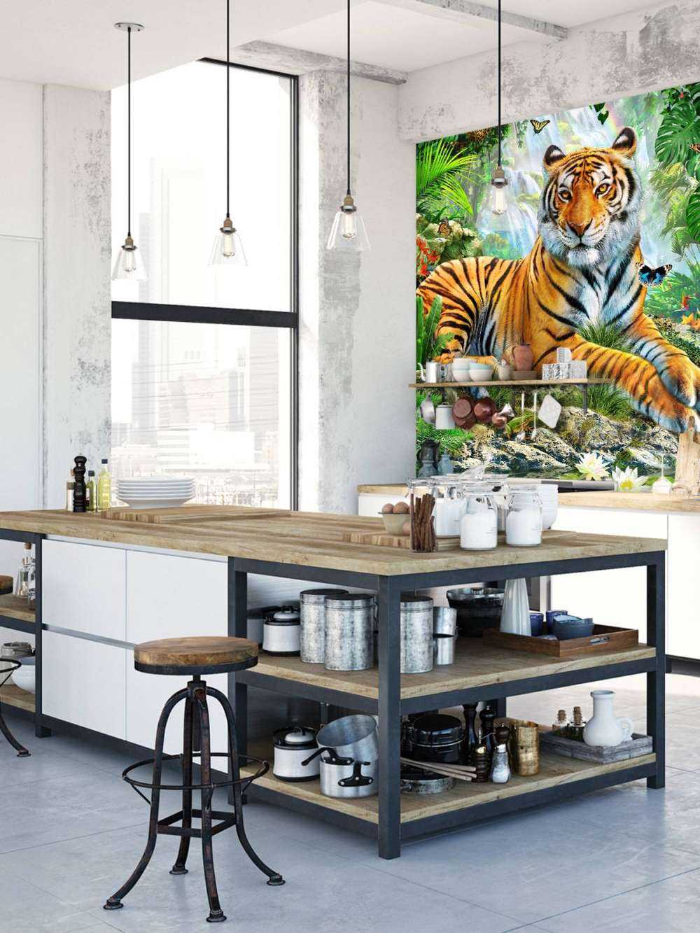 Tiger on a rock