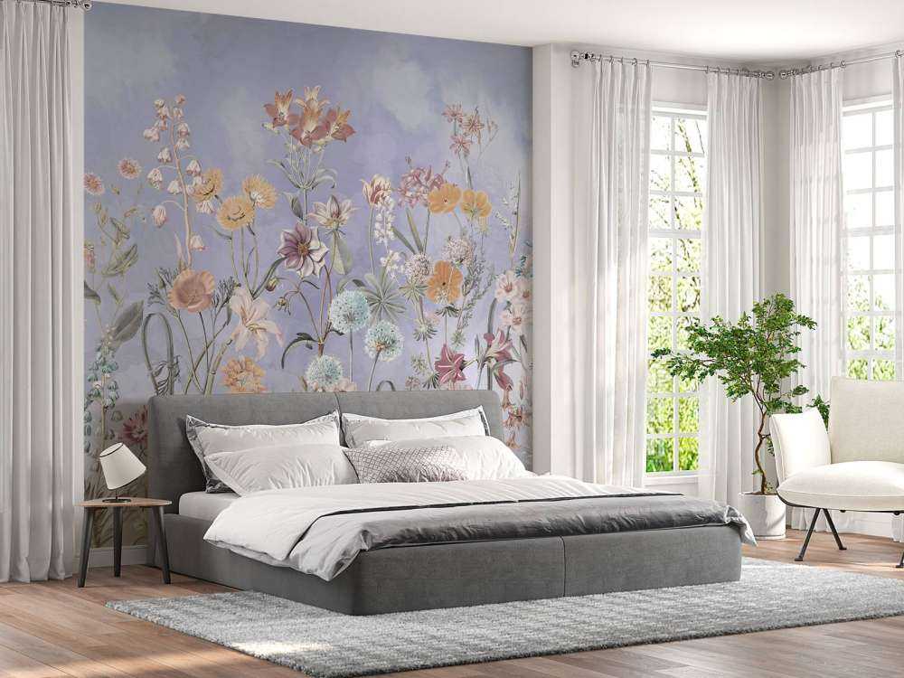 Primula 18