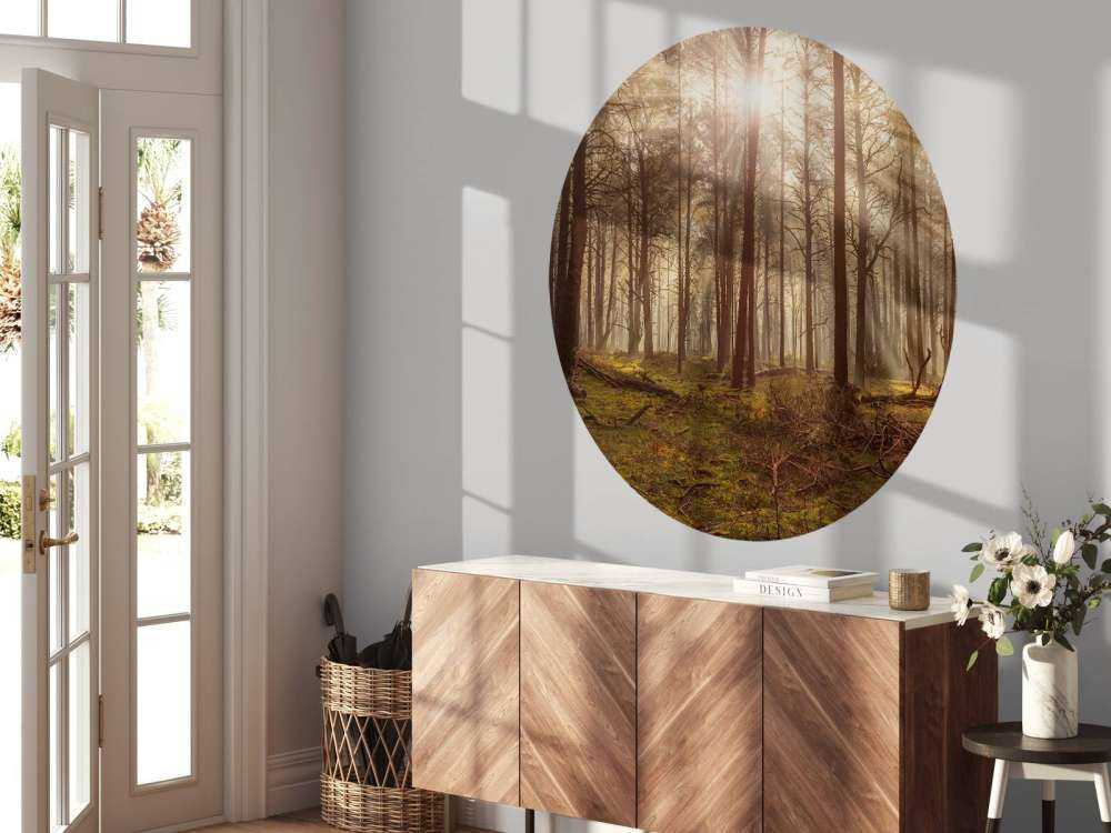 Wald mit hohen Bäumen