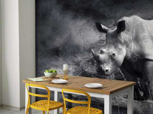Nashorn