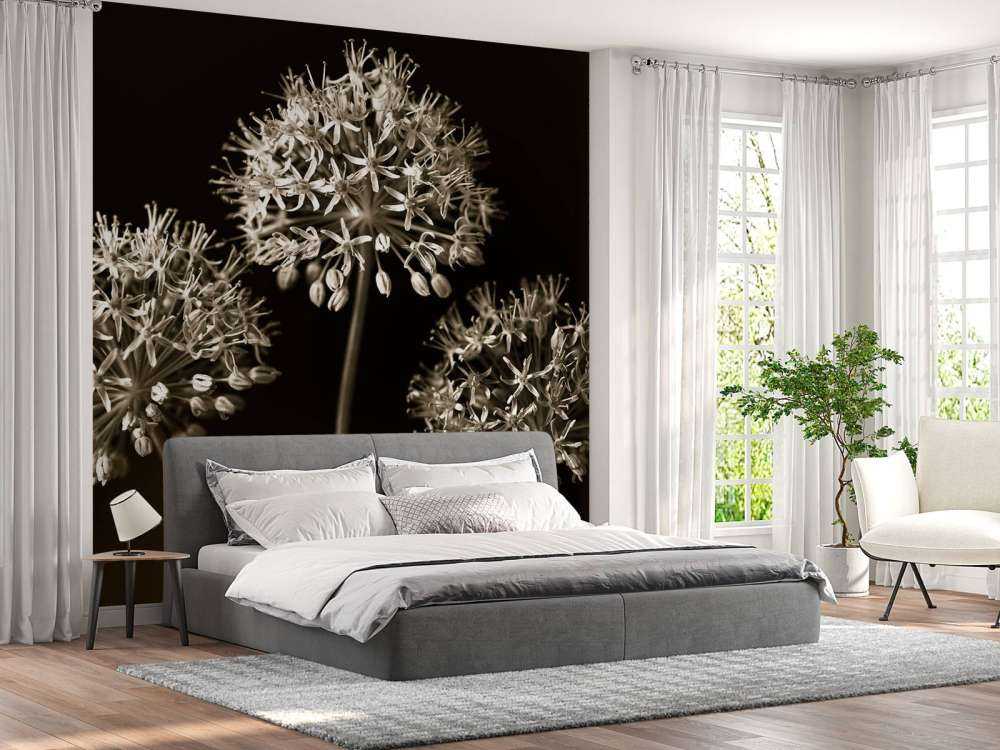 Drei Allium