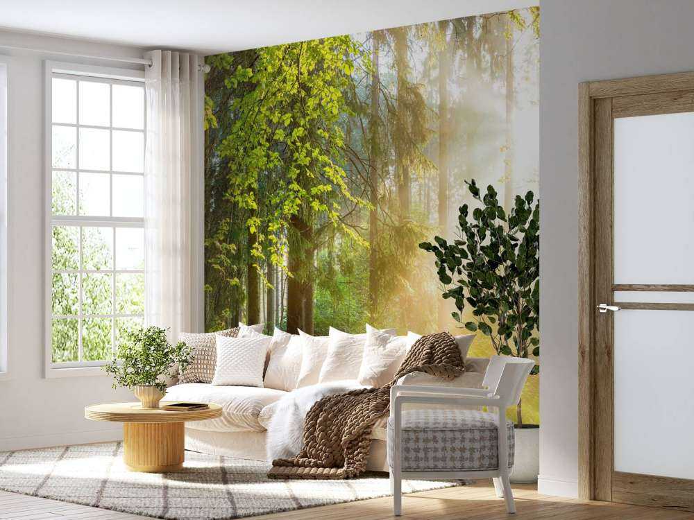 Waldlandschaft bei Sonnenaufgang