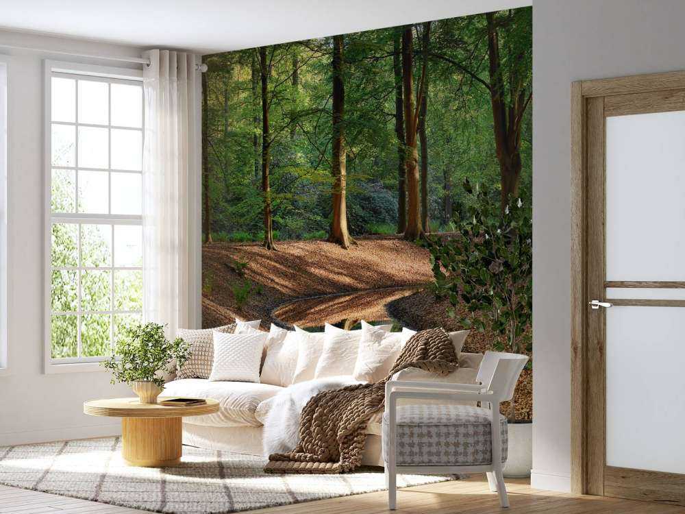 Bächlein im Wald