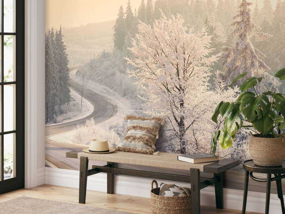 Bäume mit Schnee