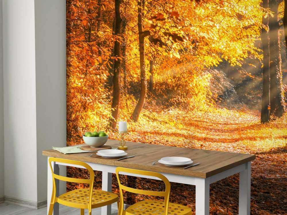 Panorama im Herbst