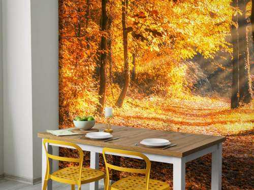 Panorama im Herbst
