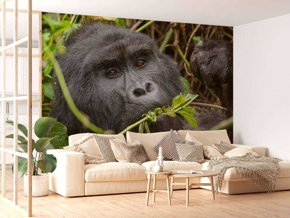 Gorilla zwischen den Ästen