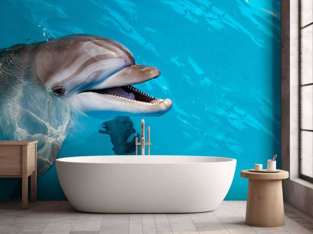 Freundlicher Delfin