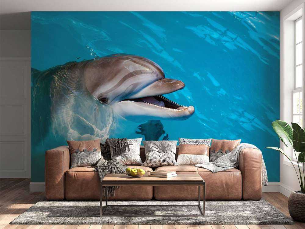 Freundlicher Delfin