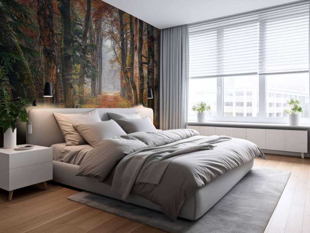 Waldweg mit alten Bäumen