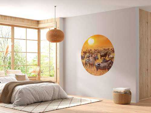 Savannensonne mit Zebras