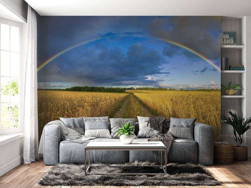 Regenbogen über einem Weizenfeld