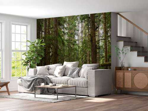 Wildwald