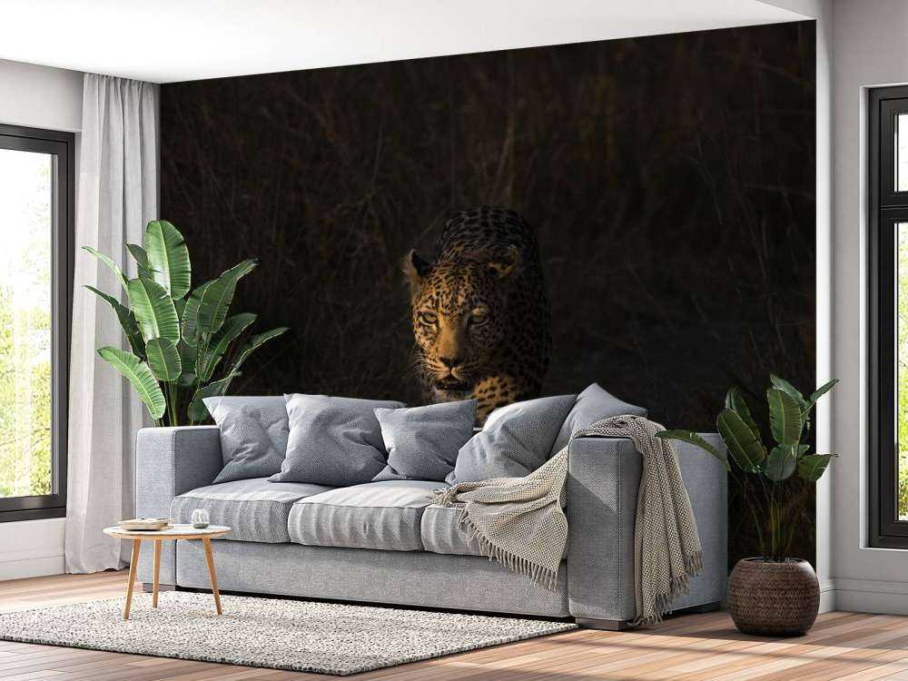 Leopard mit Sonnenuntergang