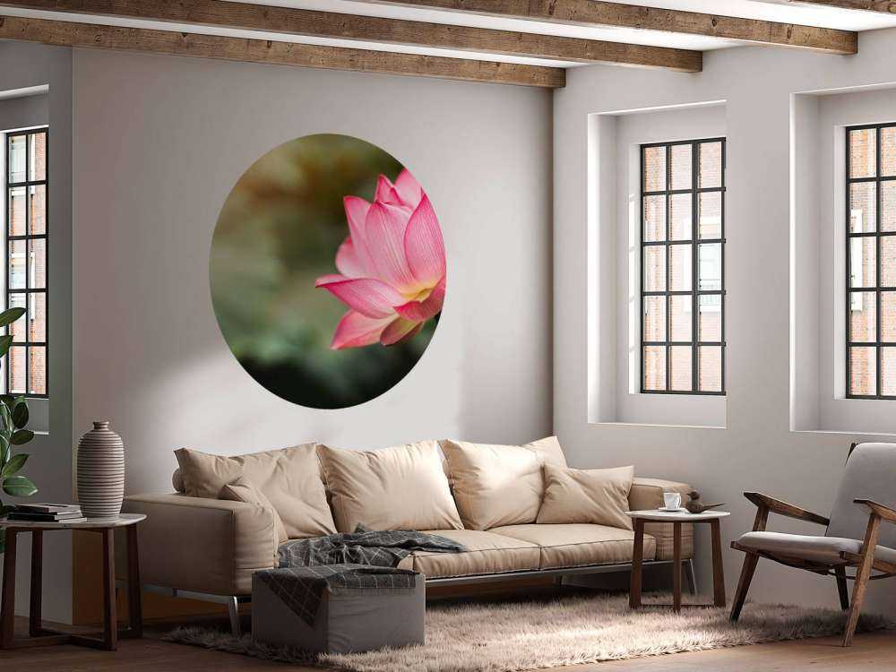 Lotus in Grün