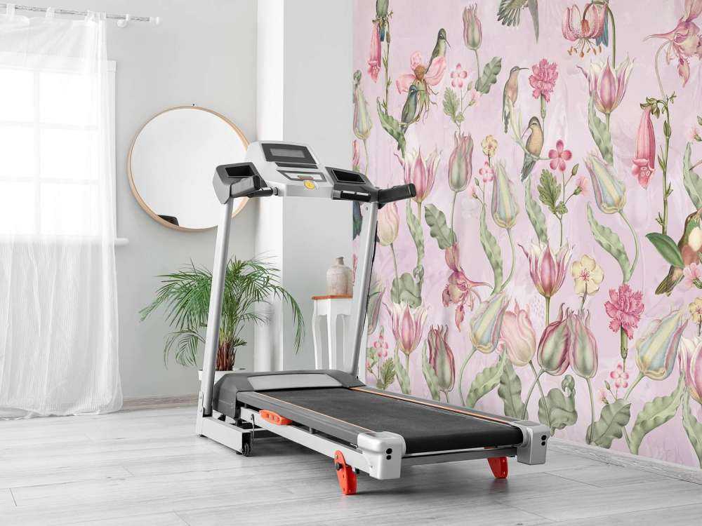 Frühling Kolibri Symphonie - Blütenrose
