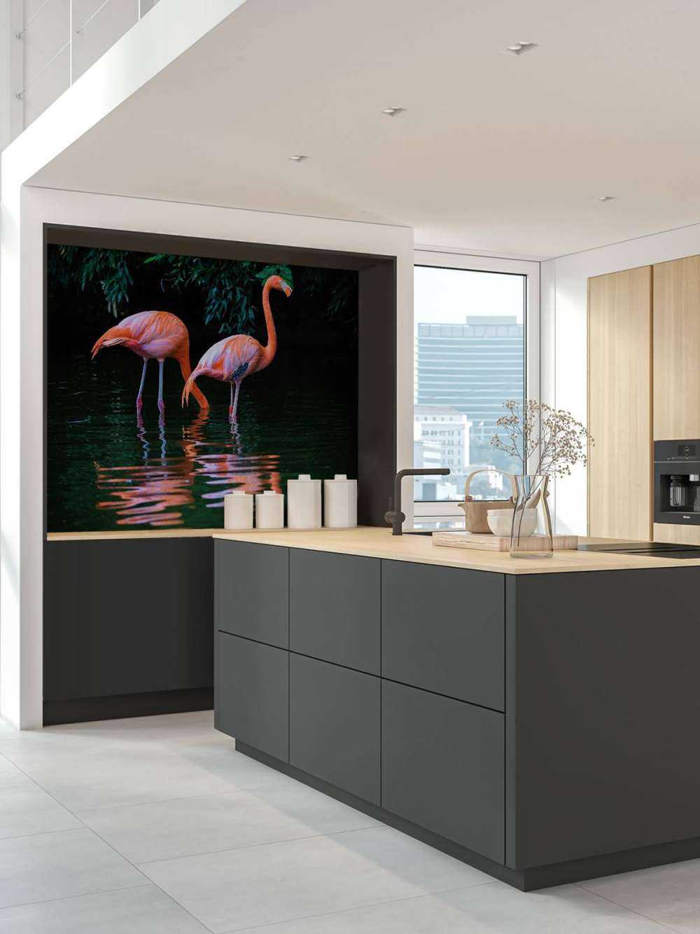 Karibische Flamingos