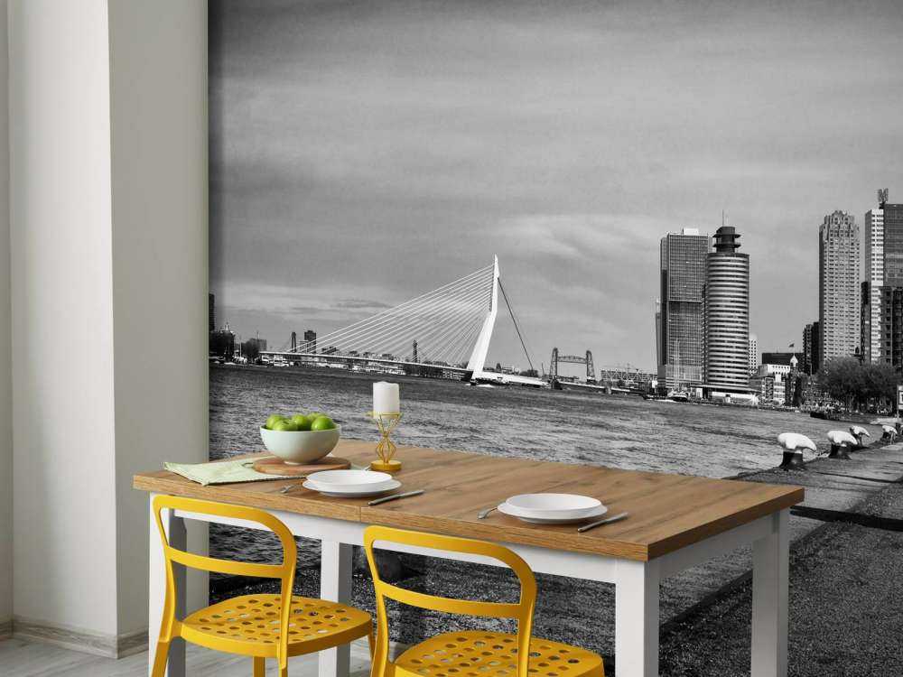 Wereldhavenstad Rotterdam (NL)