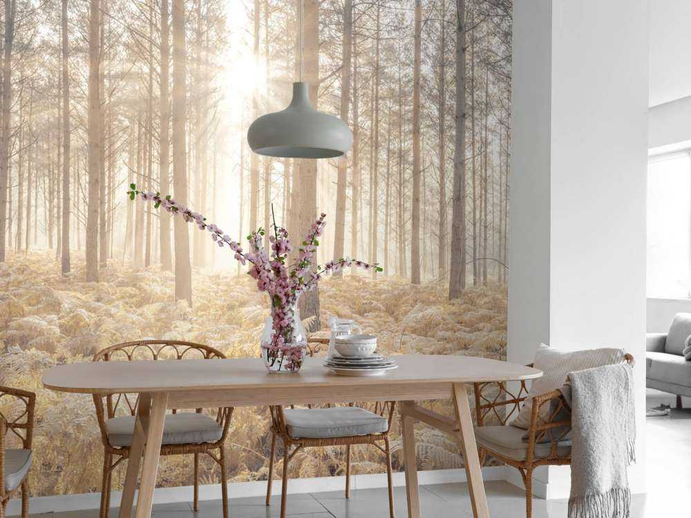 Sonnenstrahlen im kalten Wald