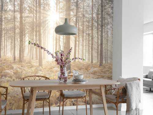 Sonnenstrahlen im kalten Wald