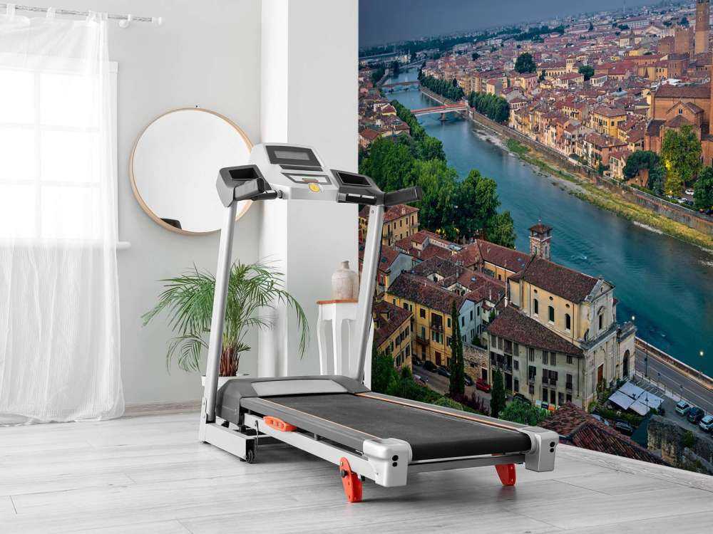Blick auf Verona