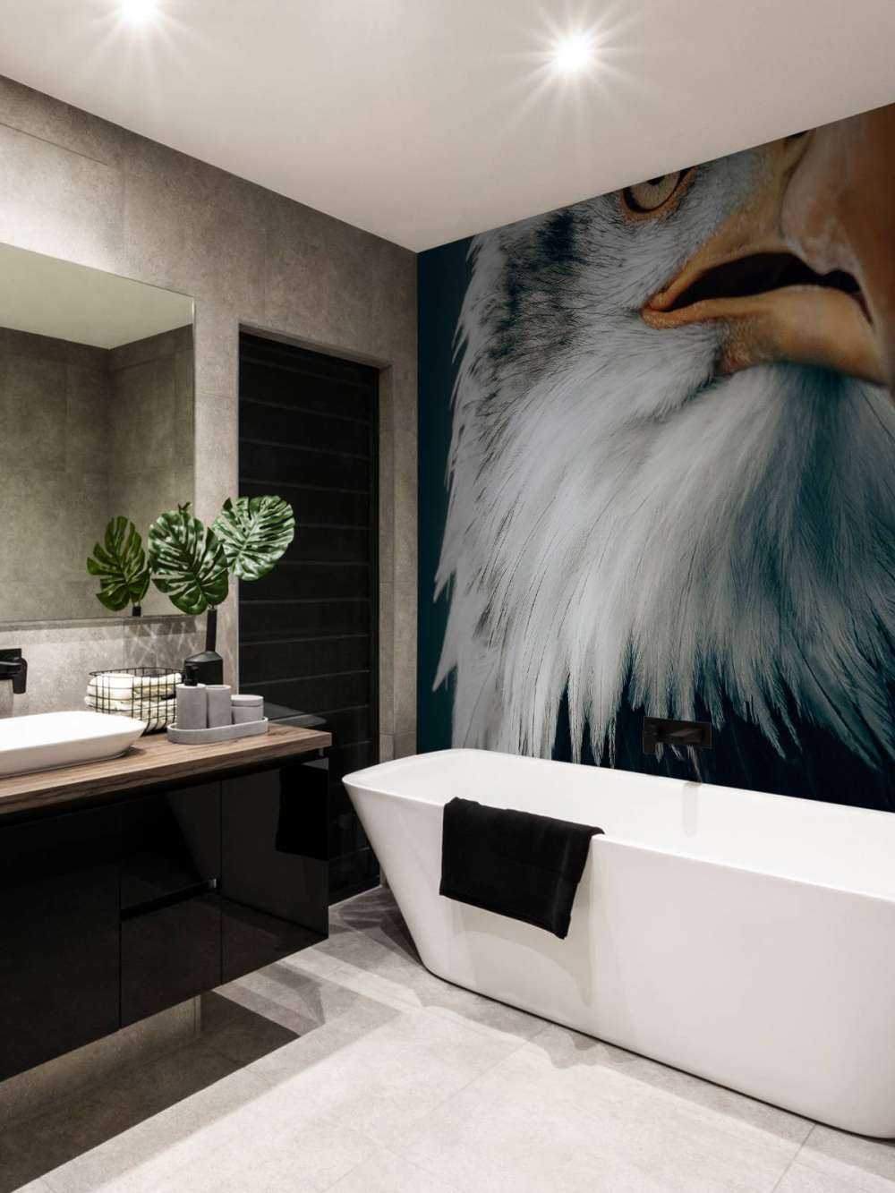 Schauender Seeadler
